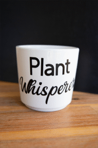 Personalised Pot